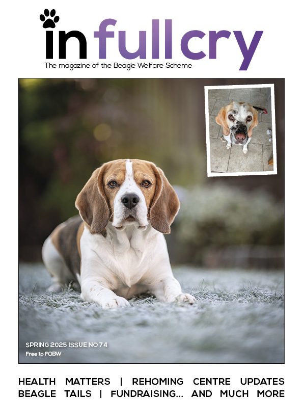front cover of in full cry magazine