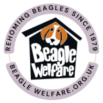 NEW Design Beagle Welfare Logo Window Sticker